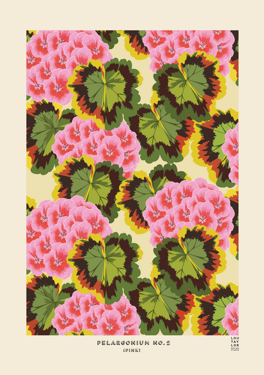 Pelargonium No.2 (Pink)