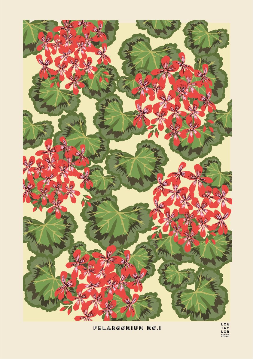 Pelargonium No.1 (Red)