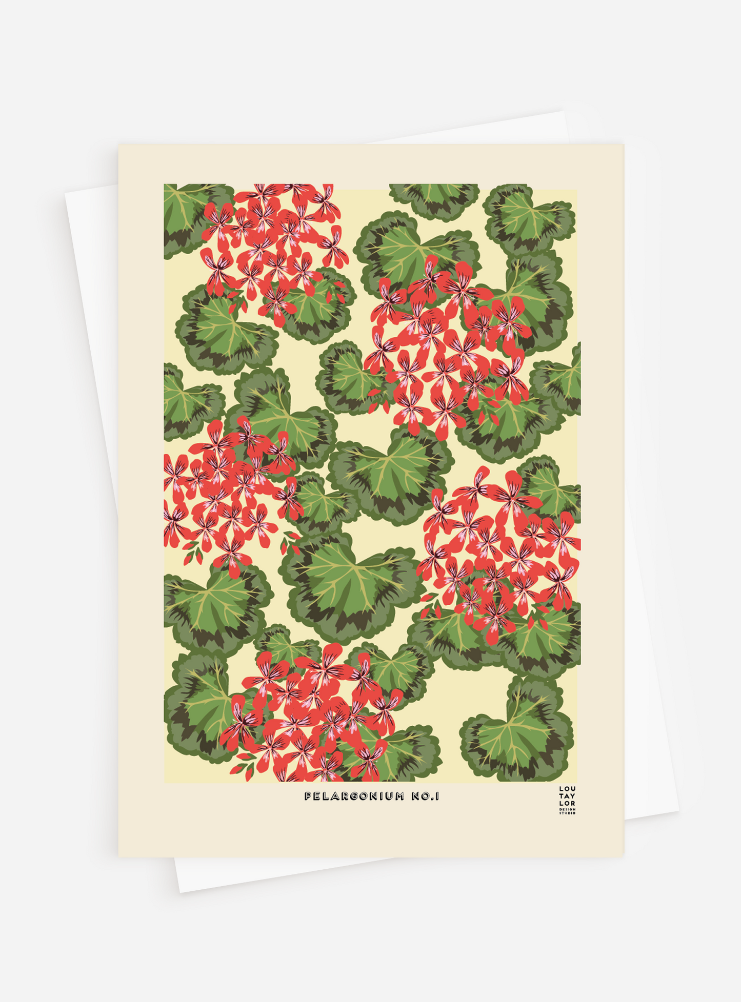 Pelargonium No.1  Greetings Card