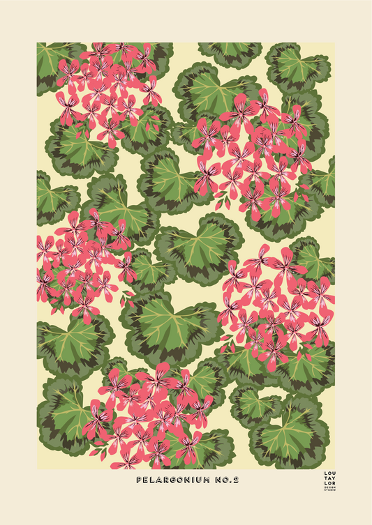 Pelargonium No. 2