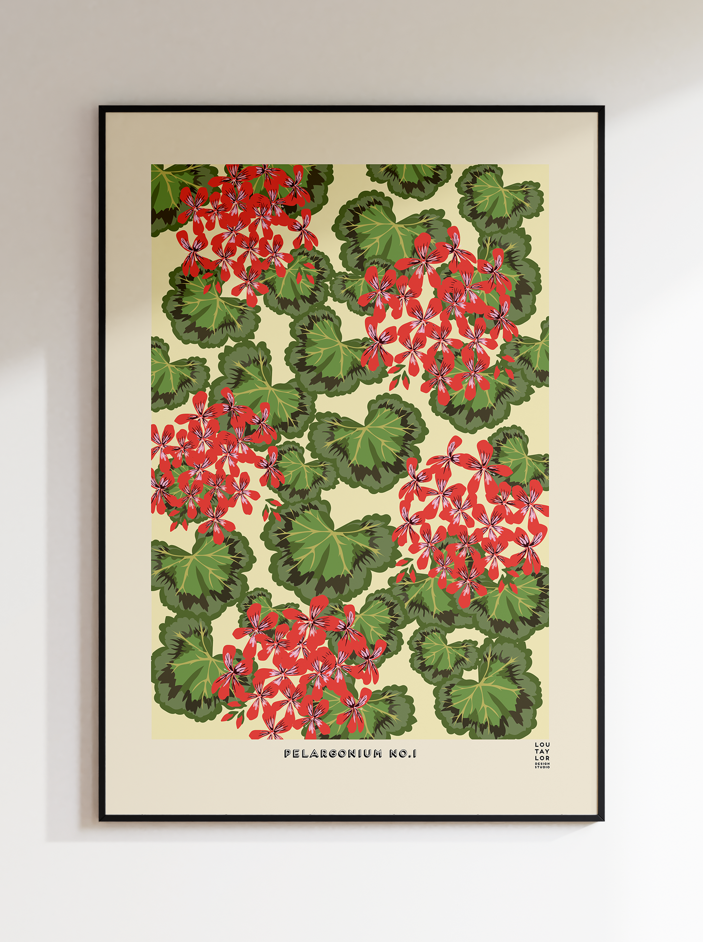 Pelargonium No.1 (Red)
