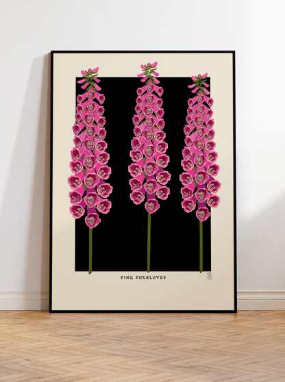 Pink Foxgloves