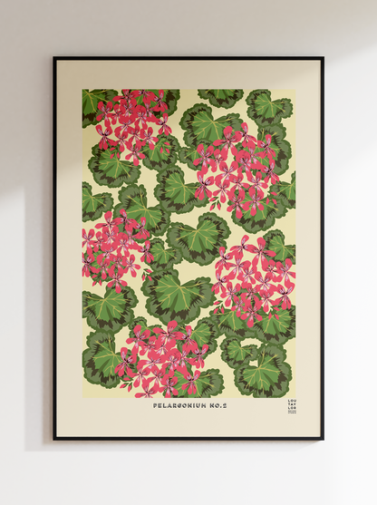 Pelargonium No.2 (Pink)