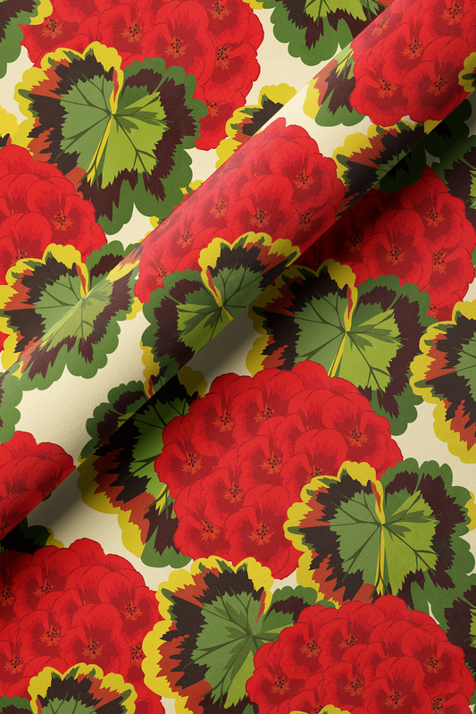 Red Pelargonium
