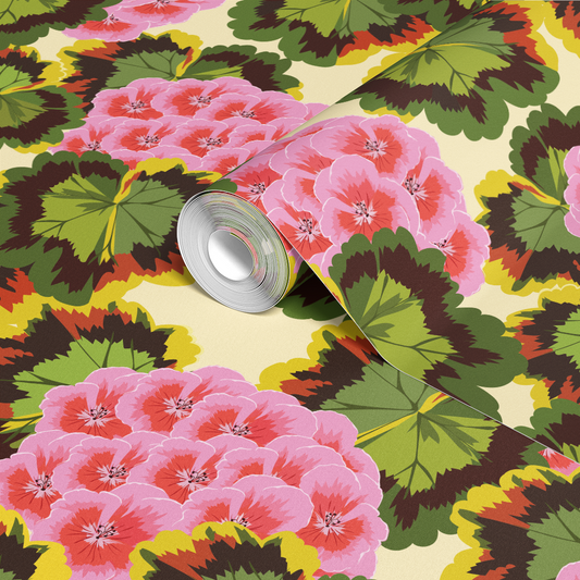 Pink Pelargonium wallpaper