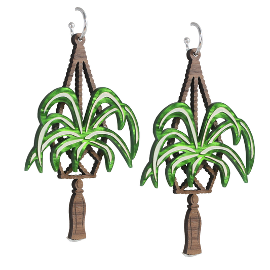Spiderplant Ear-rings (Walnut)