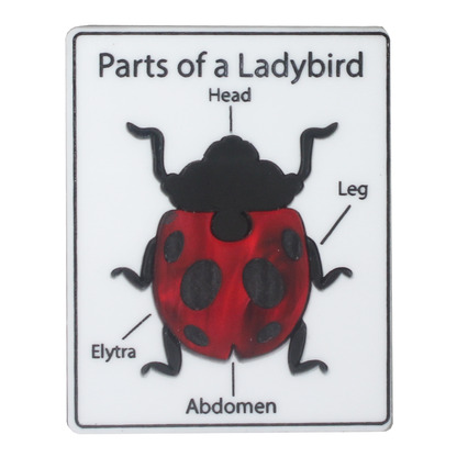 Parts of a Ladybird brooch
