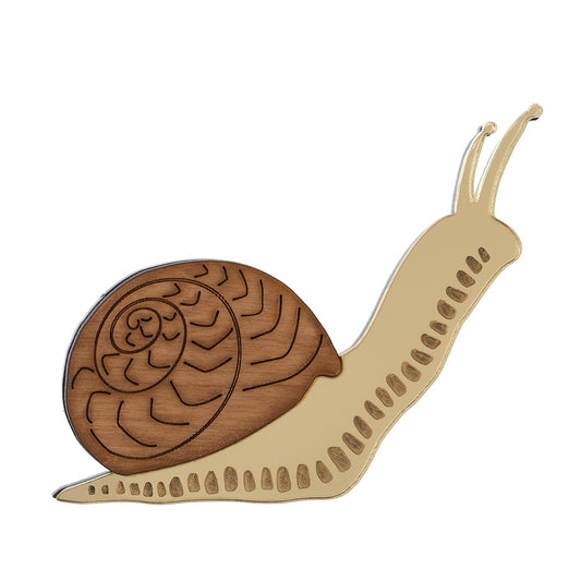 Snail brooch
