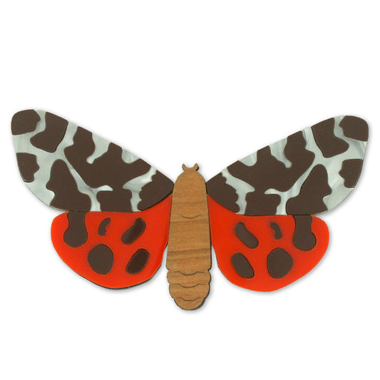 Moth brooch